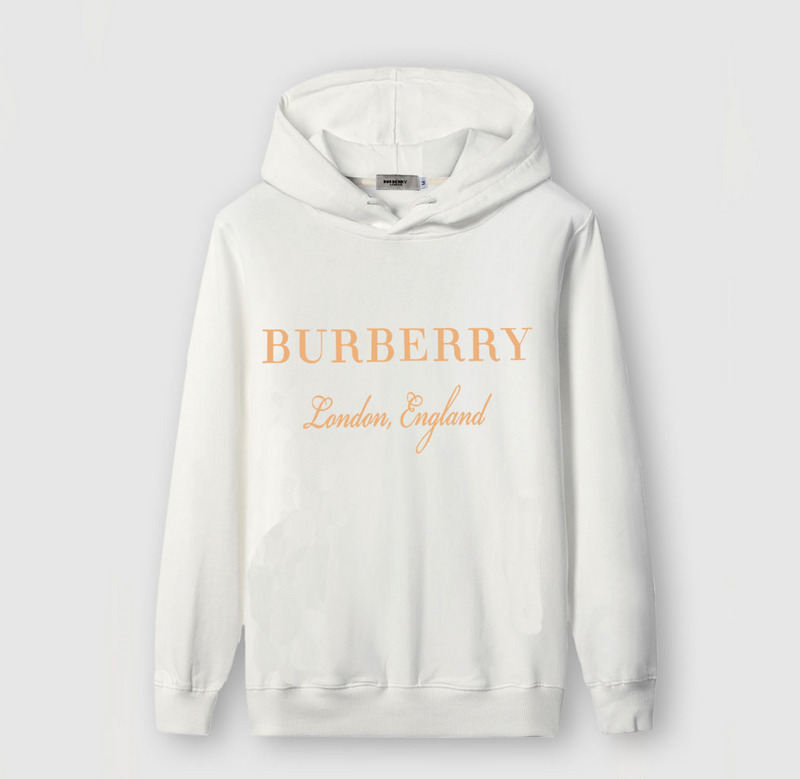 Burberry Hoody Mens ID:202004a416